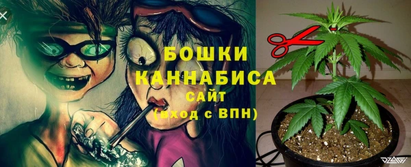 мет Аркадак