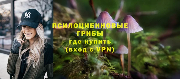 мет Армянск