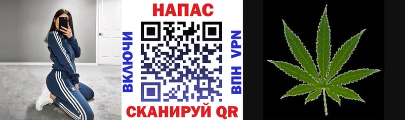 Бошки марихуана ГИДРОПОН  Советская Гавань 